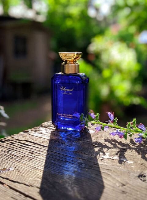 14300円 57％以上節約 送料無料 アクアディパルマ シグネチャー レザー EDP SP 180ml ACQUA DI PARMA ユニセックス  香水 フレグランス