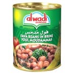 اشتري Al Wadi Al Akhdar Foul Medams - 400 Gram في مصر