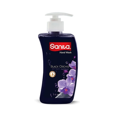Sanita Hand Wash Assorted 500ml