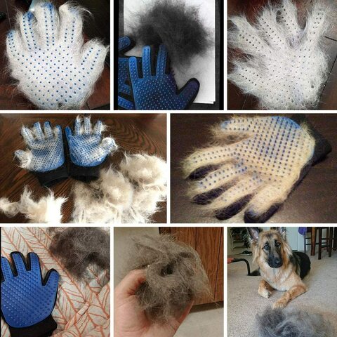 Delomo pet deshedding brush hot sale glove