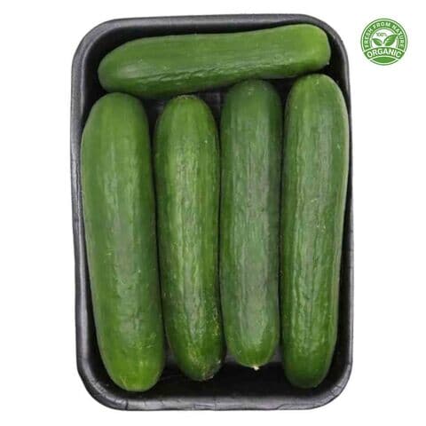 Organic Cucumbers 500g