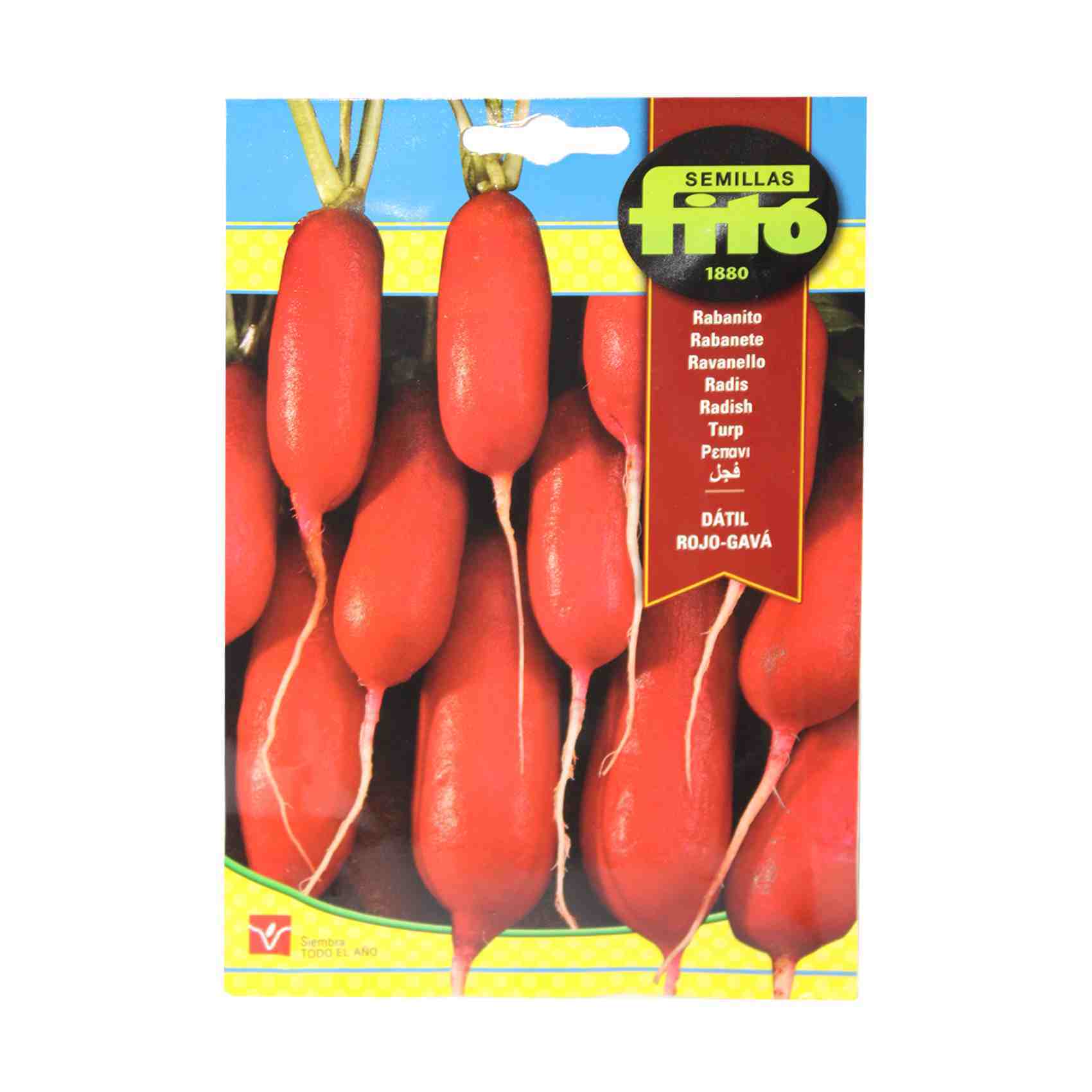 Buy Fito Seeds Radish Rojo Gava Online Carrefour Qatar