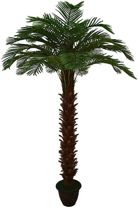 Gangster Haalbaar Besnoeiing Buy Yatai Nearly Natural Artificial Palm Tree - 3 Meters Online - Shop Home  & Garden on Carrefour UAE