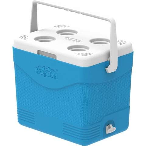 Picnic clearance cool box