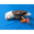 Buy Nutrapet Bald Eagle Dog Toy in UAE