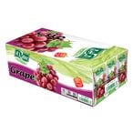 Buy Alrabie Juice Grape 200ml 18 in Saudi Arabia