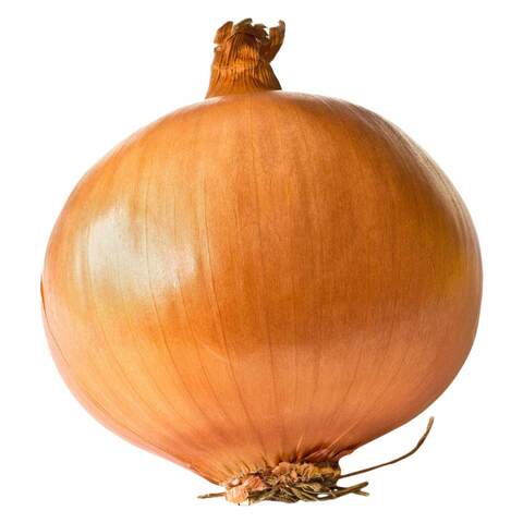 Yellow Onion Bag