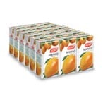 Buy KDD No Added Sugar Mango Nectar Juice 125ml x Pack of 18 in Kuwait