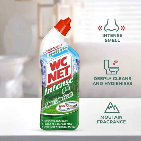 Wc net mountain fresh intense gel 750 ml