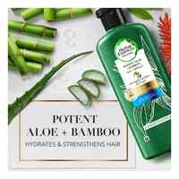 Herbal Essences Sulfate Free Potent Aloe + Bamboo Shampoo &amp; Conditioner for Dry Hair And Frizzy Hair 400ml