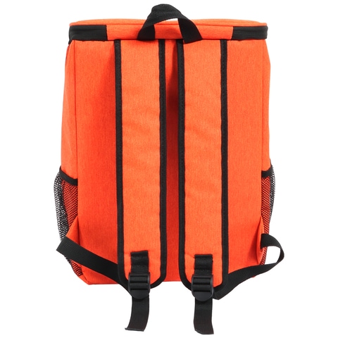 Backpack cooler lunch store bag