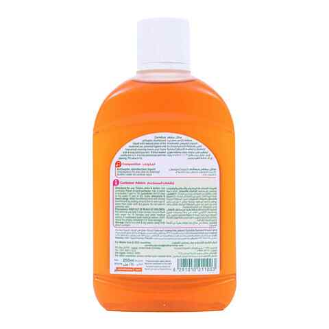 Carrefour Anti-Bacterial Anti-Septic Disinfectant Liquid Yellow 250ml