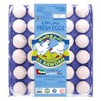 Buy Al Rawdah Fresh White Large Eggs 30 PCS in UAE