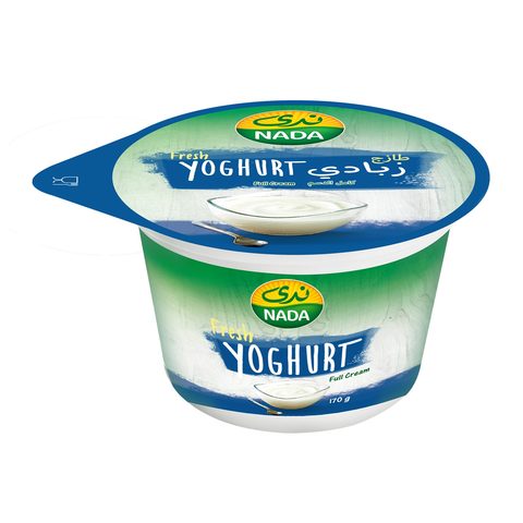 Buy Nada Full Fat Yogurt 170g in Saudi Arabia