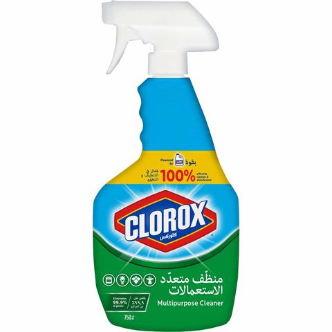 Clorox Multi Purpose Cleaner 750ml