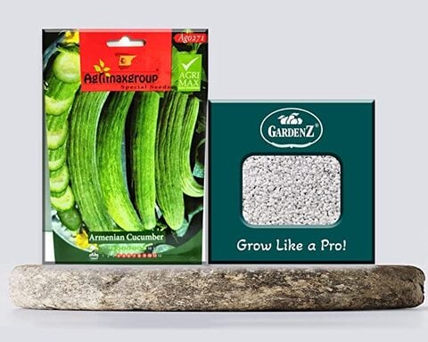 Armenian Cucumber Seeds AG0271 High productivity + Agricultural Perlite Box (5 LTR.) by GARDENZ