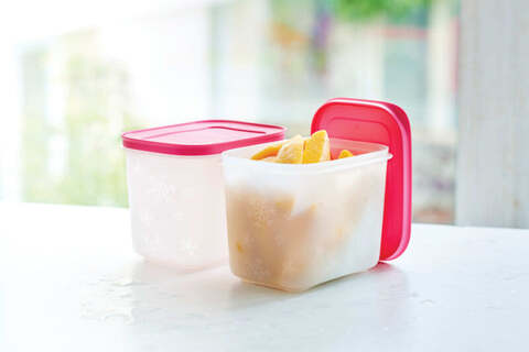 Tupperware Freezer Mate Plastic Container for Fridge and Freezer, 1.1 LTR  (Set of 2) with Free Handkerchief