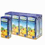 Buy Lacnor Essentials Fruit Cocktail Juice 180ml in UAE
