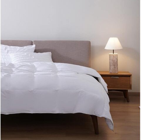 Goose down hot sale duvet queen