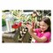 4M Kidzlabs Hydraulic Arm