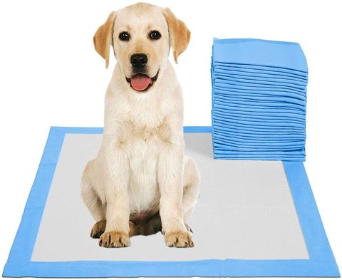 اشتري SKY-TOUCH Disposable Absorbent Quick Drying Leak-Proof Pee Pads for Potty Training for Pets, 45x60cm M - 50 Pieces في الامارات