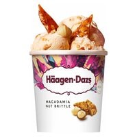 Haagen Dazs Macadamia Nut Brittle Ice Cream 460ml