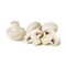 Mushrooms Fresh White
