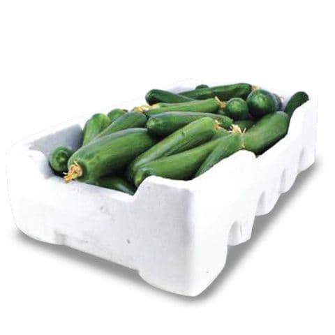Cucumber foam box