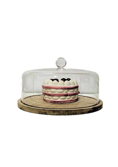 Cake tray outlet online