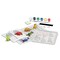 4M Mould and Paint a Dinosaur