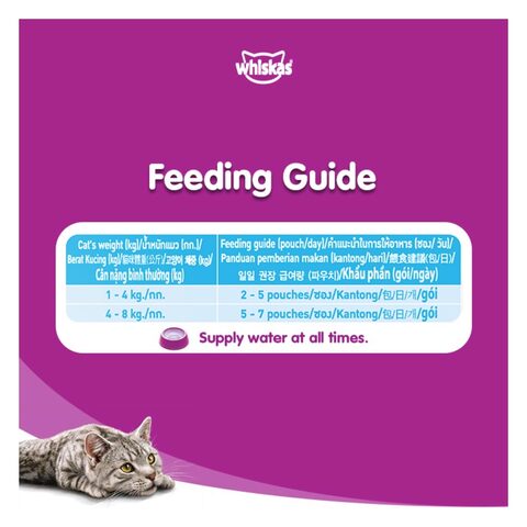 Buy Whiskas Ocean Fish Junior Tuna Wet Cat Food 80g x Pack of 12 Online ...