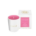 اشتري Candle 190g "Pink Paradise" في الامارات