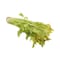 Celery Stick Import