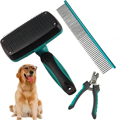 Pet supermarket hot sale grooming