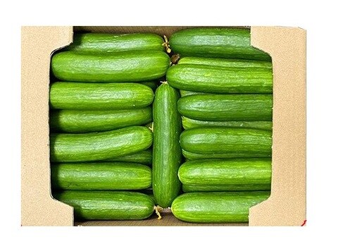Cucumber Zein Box