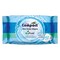Ultra Compact Bio Flush Wet Toilet Wipes 42 Pieces