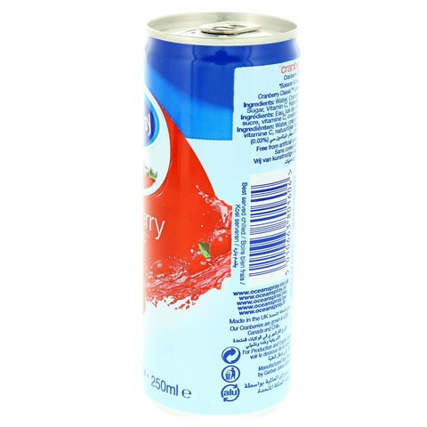 Ocean Spray Cranberry Classic Juice 250ml