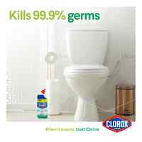 Clorox Toilet Cleaner Fresh Scent 700ml