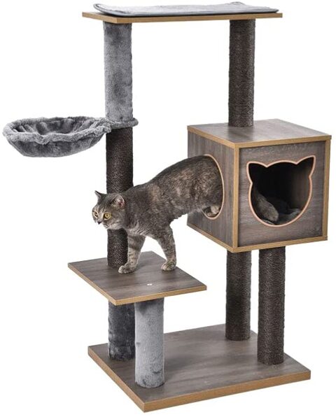 Online cat supplies sale