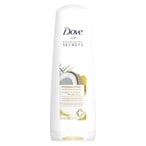 Buy Dove Conditioner Restoring Ritual Coconut Oil And Turmeric 350ml in UAE