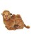 Nicotoy Cute Lying Camel Plush Figure 23 X 13cm