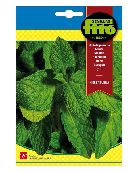 Fito Peppermint