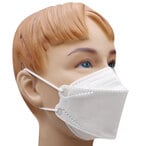 اشتري N95 Face Mask For Kids White 10 Pieces في الامارات