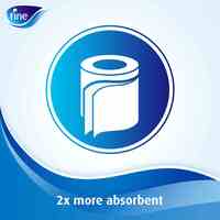 Fine Comfort Xl Toilet Tissue Roll 250 Sheets X 2 Ply Bundle 10 Rolls