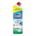 Buy Clorox Gel Thick Bleach and Cleaner Mint Freshness - 750ml in Egypt