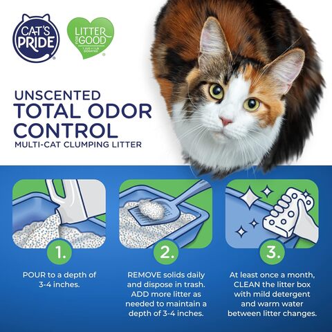 Cat's pride 2025 unscented litter