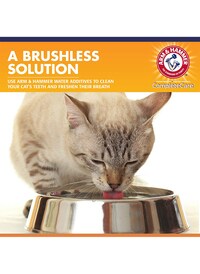 Arm &amp; Hammer Multi Care Dental Rinse for Cats