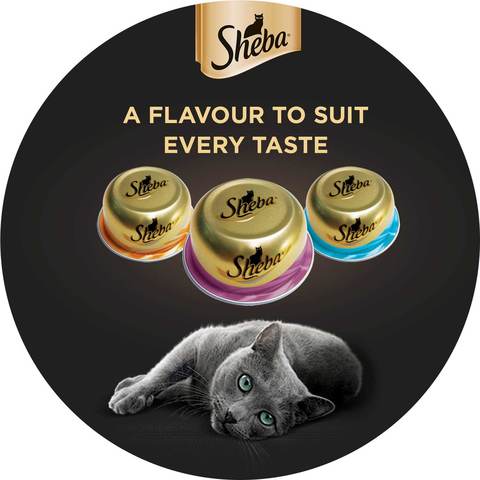 SHEBA&reg; Dome Prime Cuts of Tuna and Prawn Wet Cat Food Can 80g