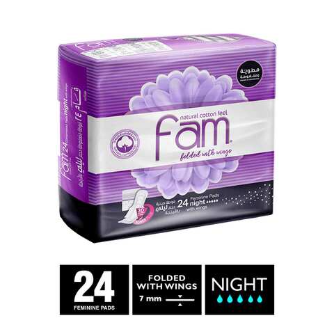 Fam Maxi Sanitary Pad Folded With Wings Night White 24 count