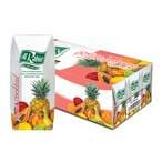 Buy Alrabie Cocktail Fruit Nectar 185ml 18ml in Saudi Arabia